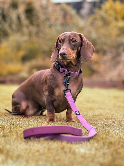 HydroFlex™ Two-tone Waterproof Dog Lead - Mauve
