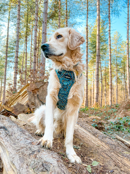 Hike & Go™ Harness - Alpine Adventure