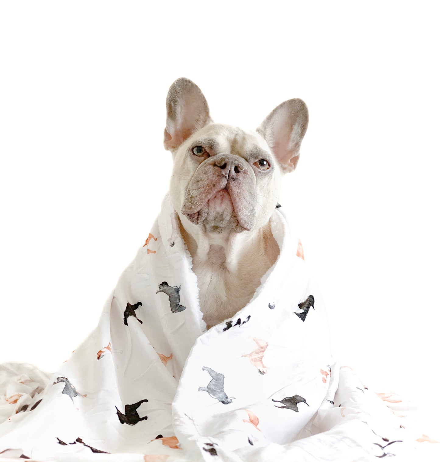 Supersize Soft Blanket - Watercolour French Bulldogs