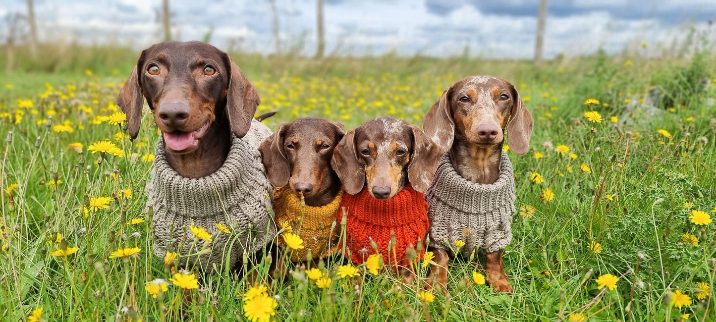 Hand Knitted Dachshund Jumper - Mustard Yellow