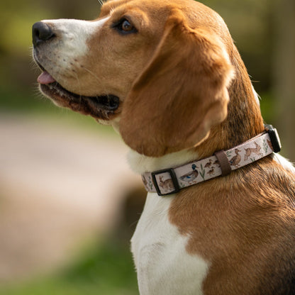 Dog Collar - Cotswold Cottage