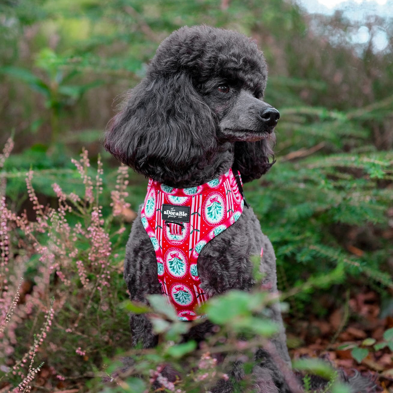 Adjustable Harness - Christmas Traditions