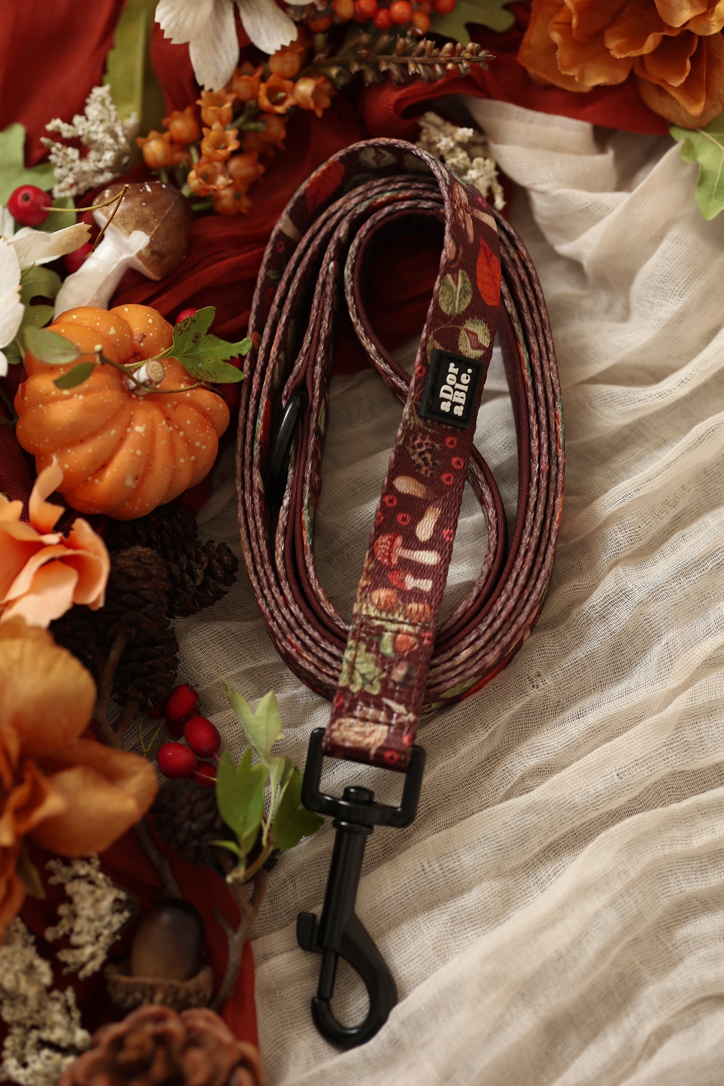 Lead - Foragers Forest