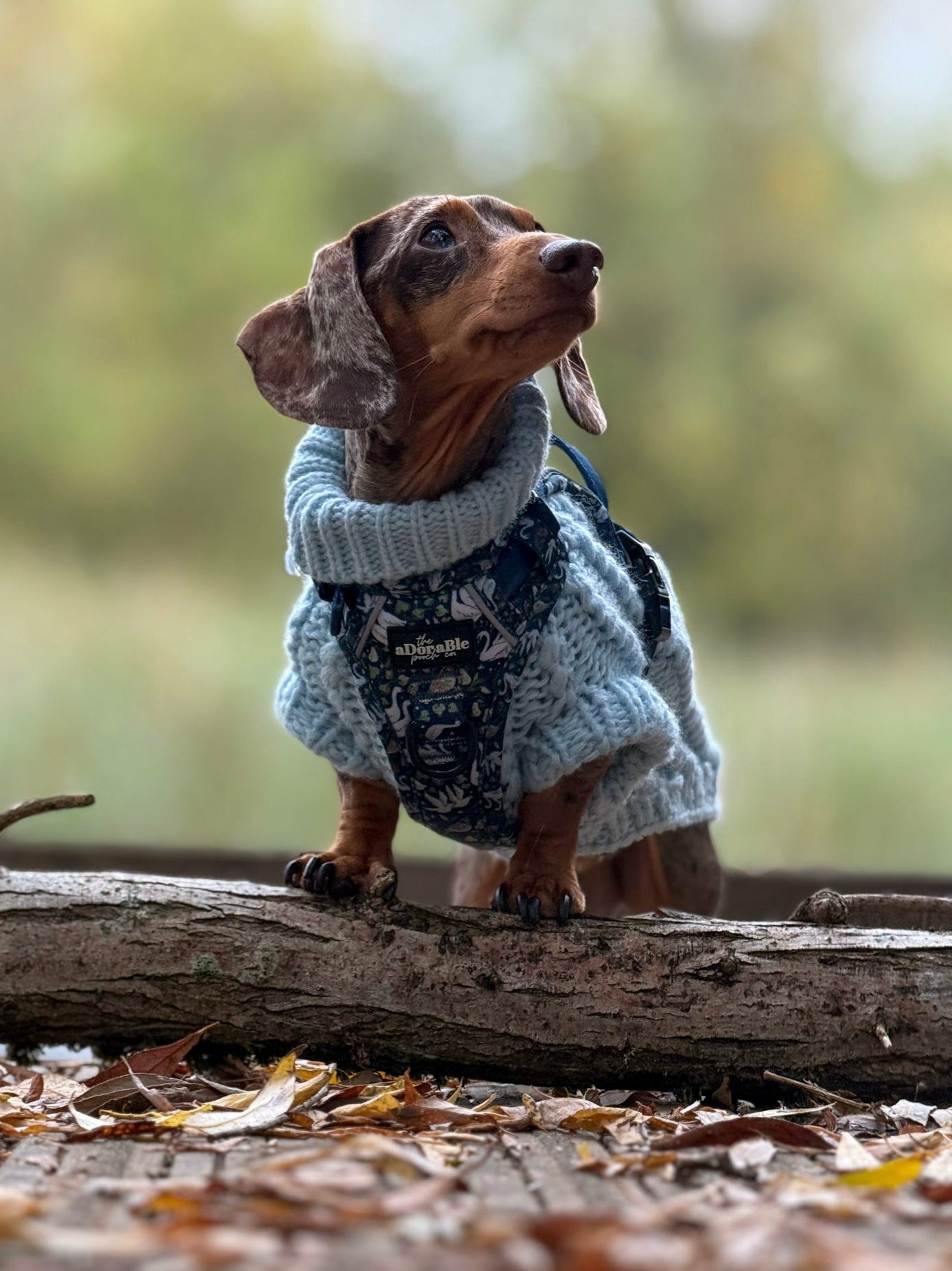 Hike & Go Lite™ Harness - Twelve Days