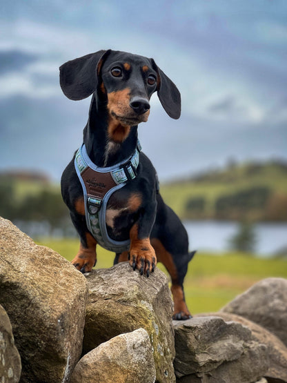 Streamline Pro™ Dog Harness - Daydream Heights