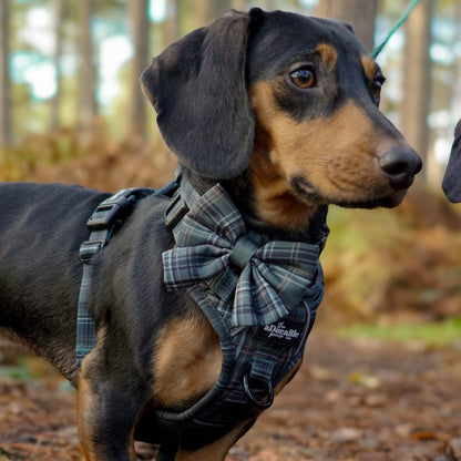 Sailor Bow Tie - LUXE Hunter Green Plaid