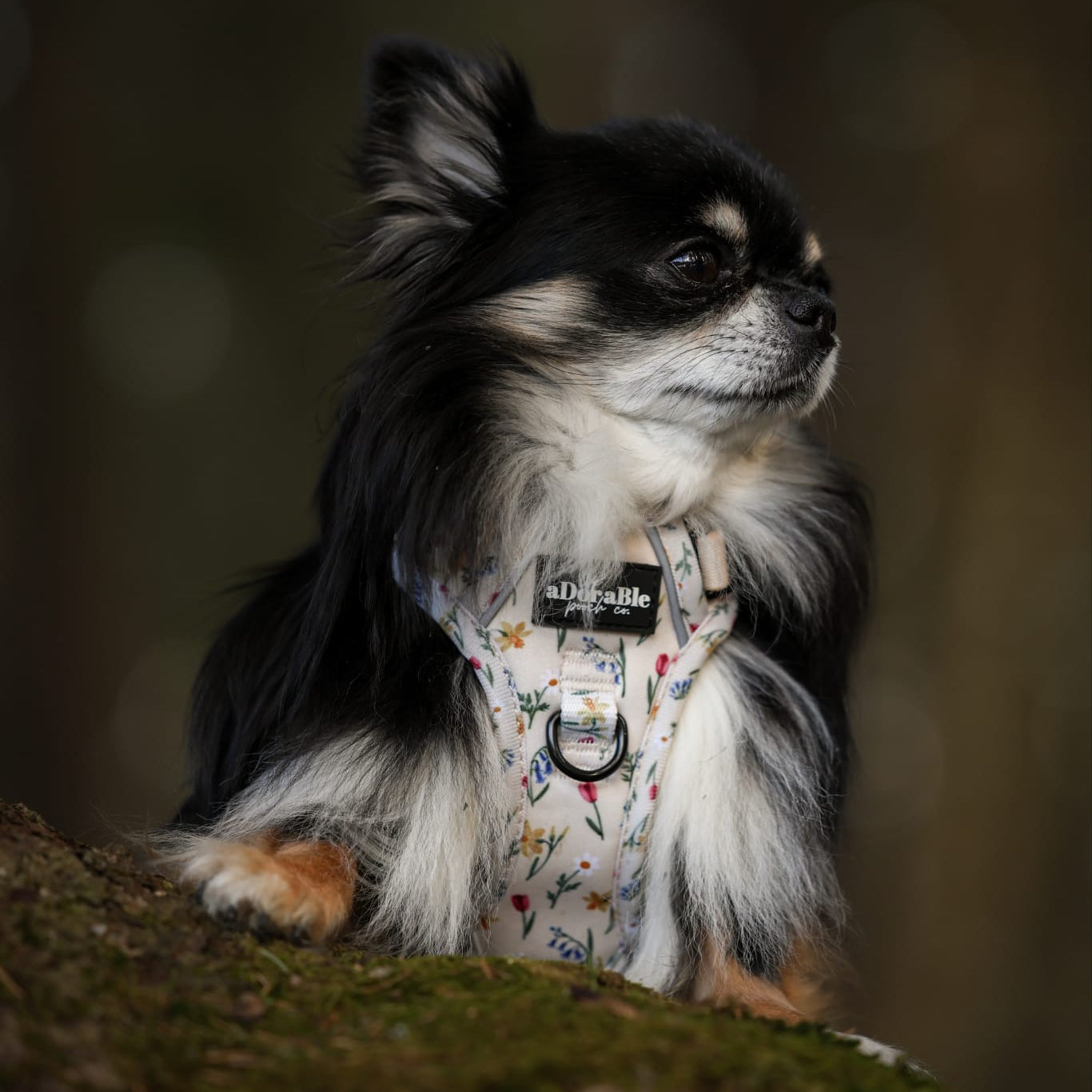 Hike & Go Lite™ Harness - Spring Garden