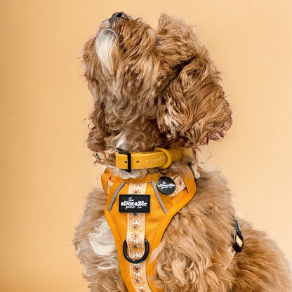 HydroFlex Waterproof Collar - Mustard Yellow