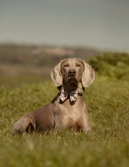 Dog Sailor Bow Tie - Cotswold Cottage