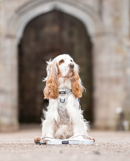 Laura Ashley Dog Harness - Magnolia Grove