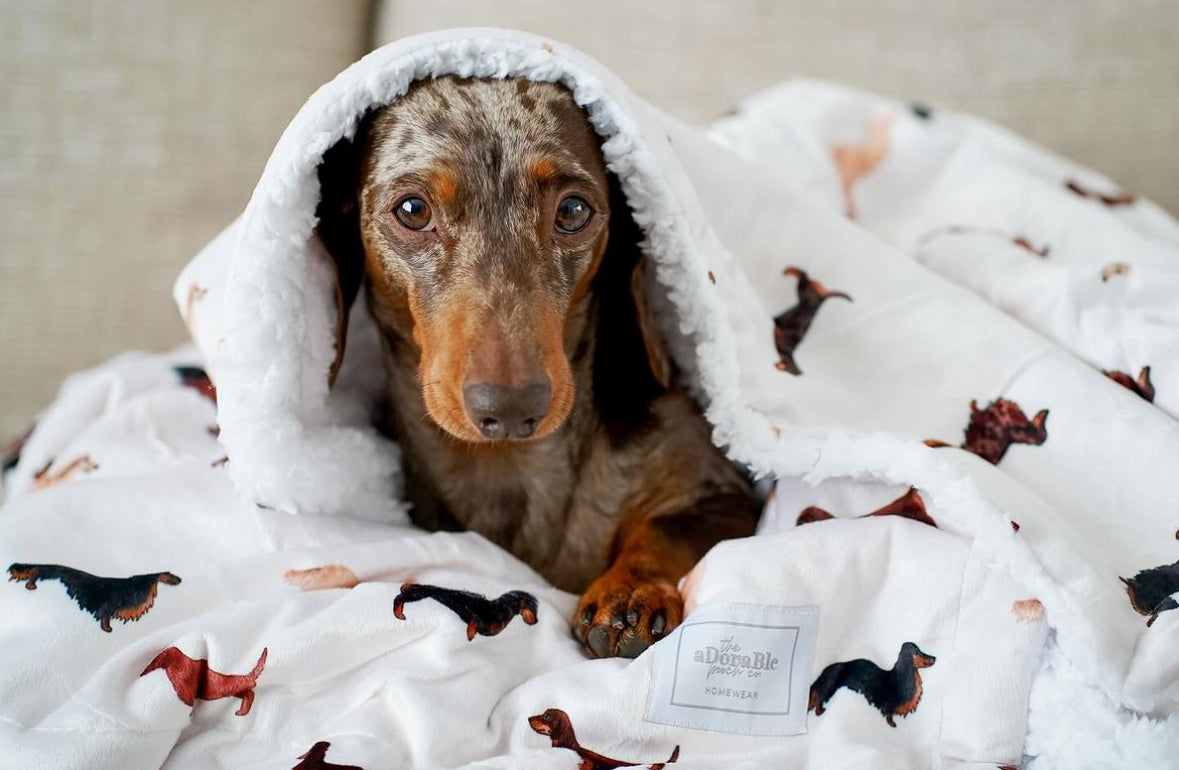 Supersize Soft Blanket - Watercolour Dachshunds