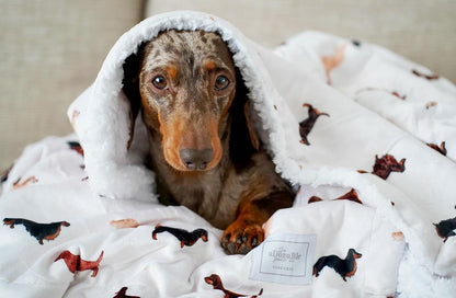 Supersize Soft Blanket - Watercolour Dachshunds