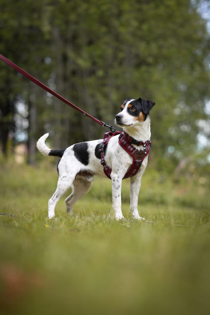 HydroFlex™ Waterproof Dog Lead - Merlot