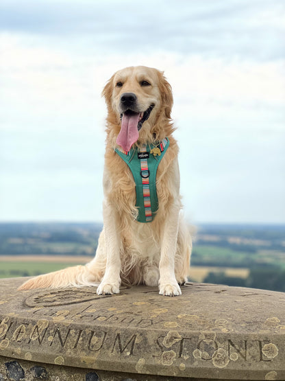 Hike & Go™ Harness - Seafoam Sunset - XL