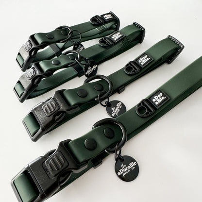 HydroFlex Lite™ Dog Collar - Evergreen