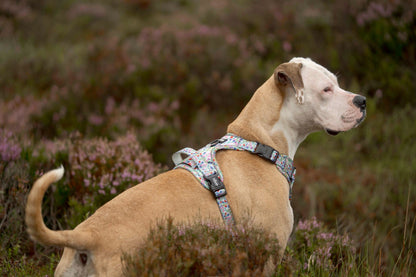 Hike & Go Lite™ Harness - Wildflower Meadow