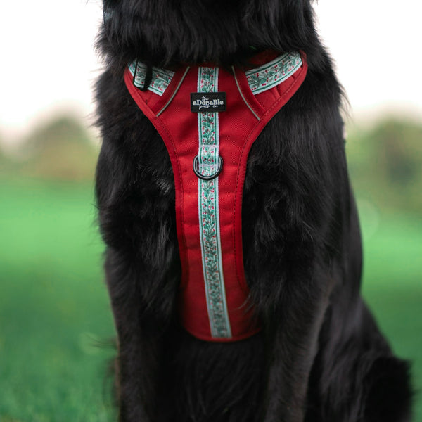 Hike & Go™ Harness - Garlands Of Evergreen