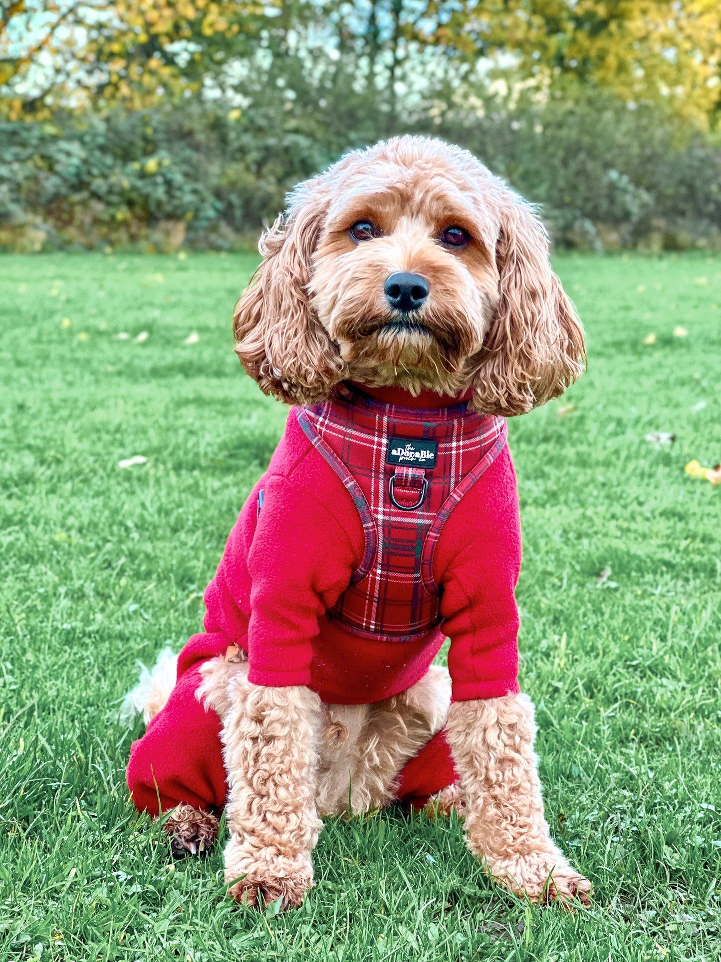 Adjustable Harness - LUXE Berry Red Plaid