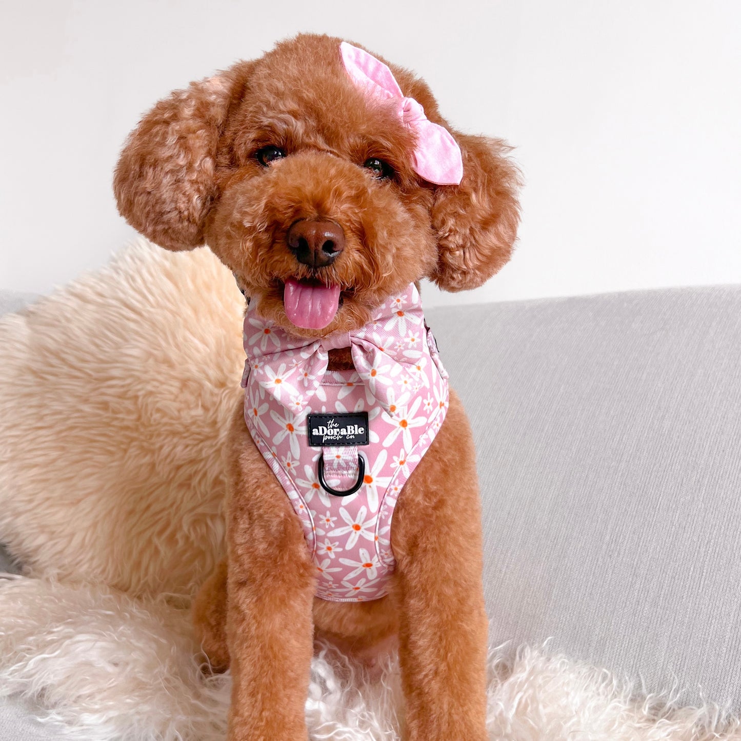 Adjustable Harness - Dandy Daisy