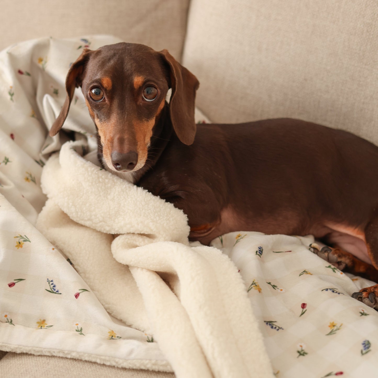 Dog & Puppy Bed Blanket - Spring Garden