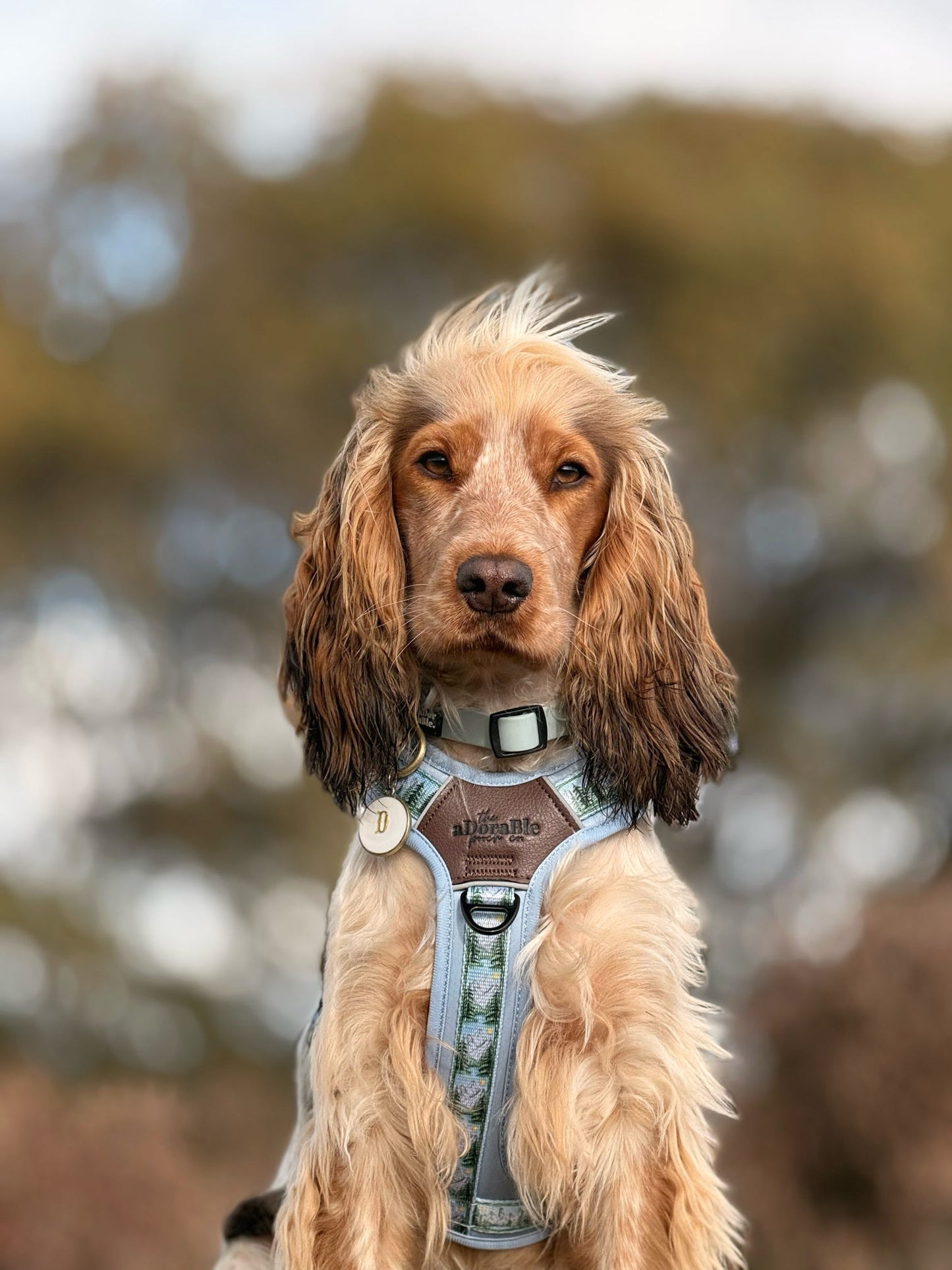 Streamline Pro™ Dog Harness - Daydream Heights