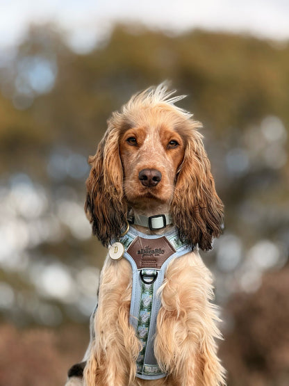 Streamline Pro™ Dog Harness - Daydream Heights