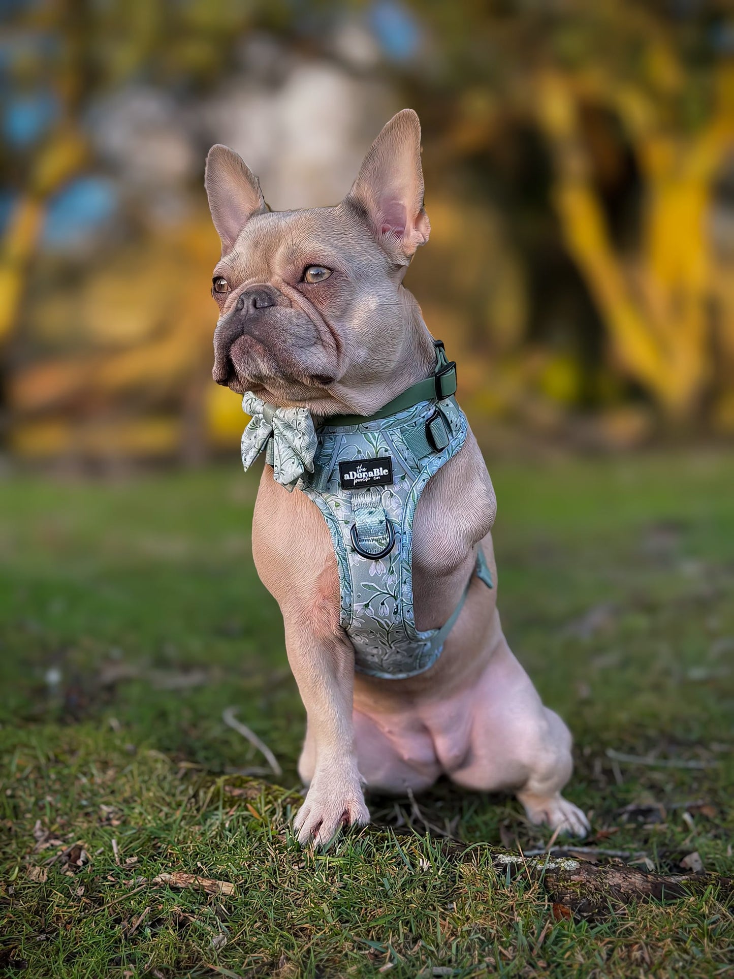 Hike & Go Lite™ Harness - Silent Snowdrops
