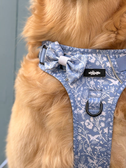 Laura Ashley Dog Dickie Bow Tie - Shepherd's Purse