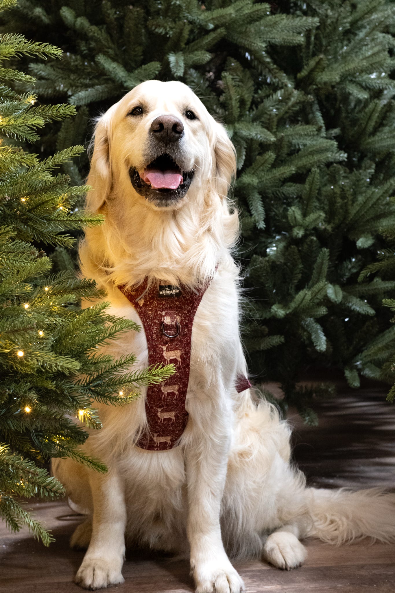 Hike & Go Lite™ Harness - Winter Fawn