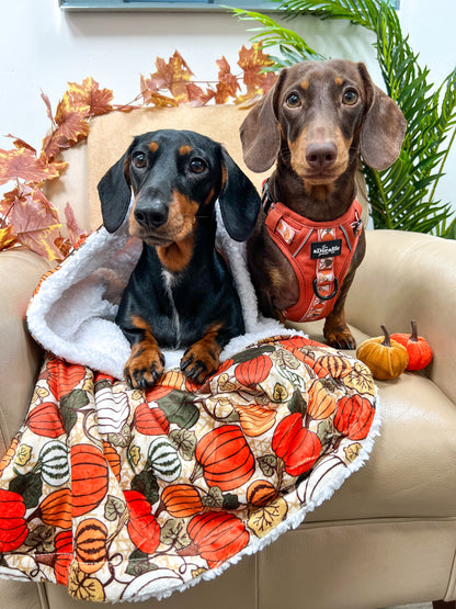 Hike & Go™ Harness - Pumpkin Fields