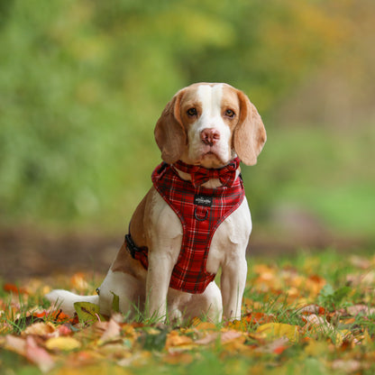 Bow Tie - LUXE Berry Red Plaid