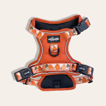 Hike & Go™ Harness - Pumpkin Fields