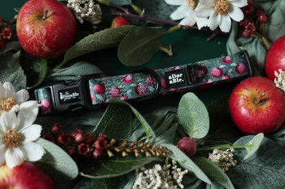 Collar - Crab Apple Cottage