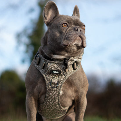 Laura Ashley Dog Harness - Sweet Alyssum