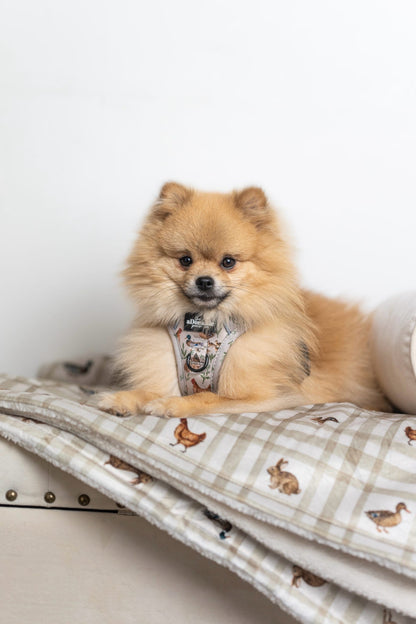 Dog & Puppy Bed Blanket - Cotswold Cottage