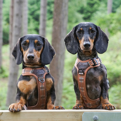 Streamline Pro™ Dog Harness - Heritage Collection - Butterscotch Biscuit