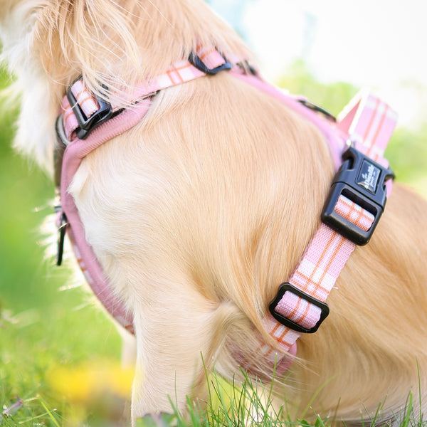Streamline Pro™ Harness - Heritage Collection - Strawberry Cottage