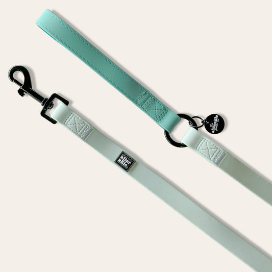 HydroFlex™ Two-tone Waterproof Dog Lead - Frosted Mint