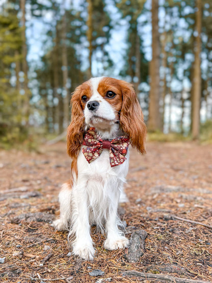 Sailor Bow Tie - Foragers Forest