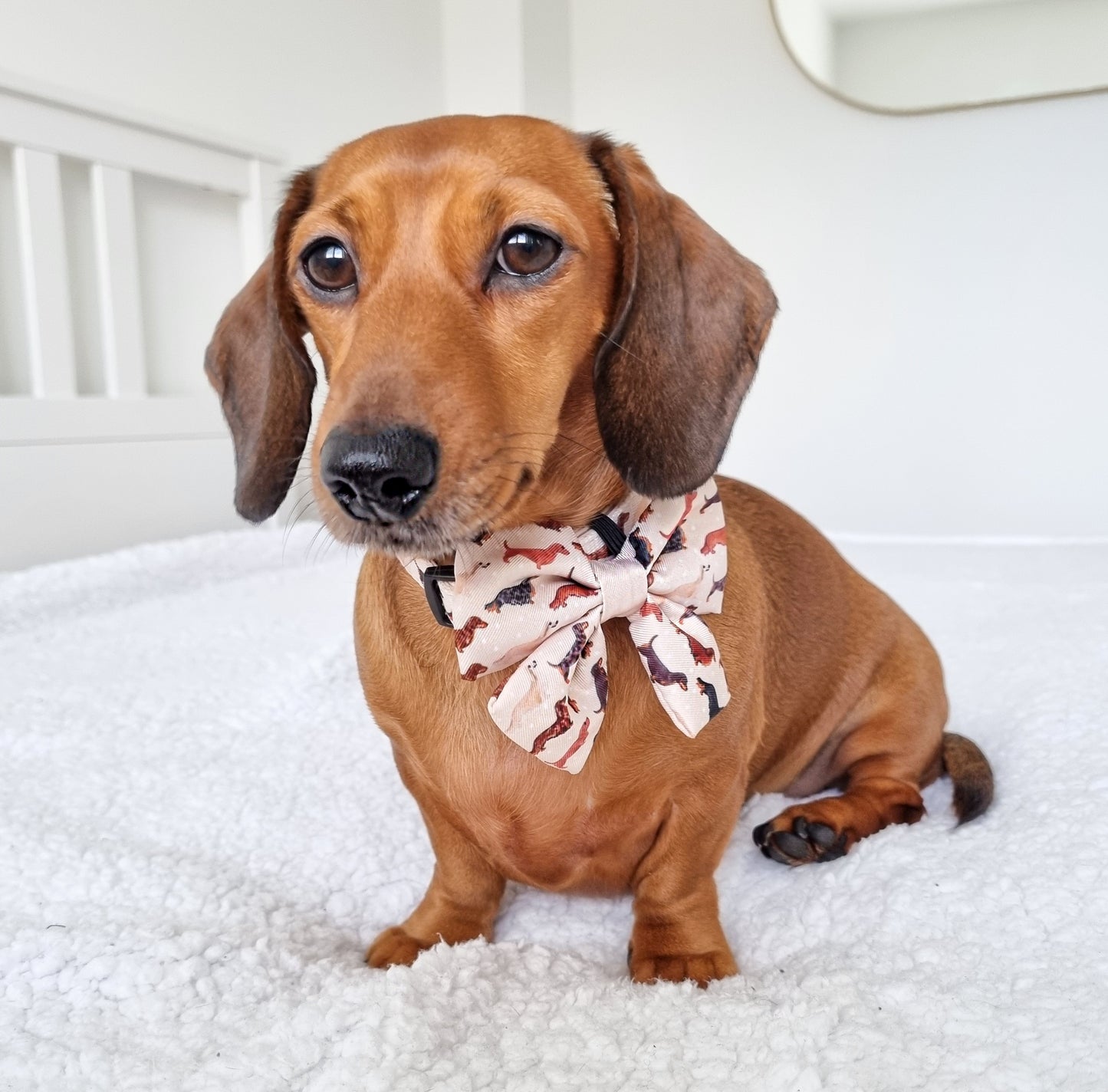 Sailor Bow Tie - Daxie Dream