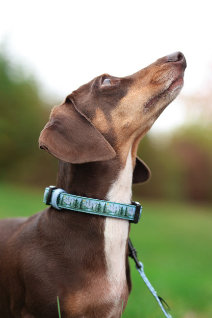 Collar - Daydream Heights