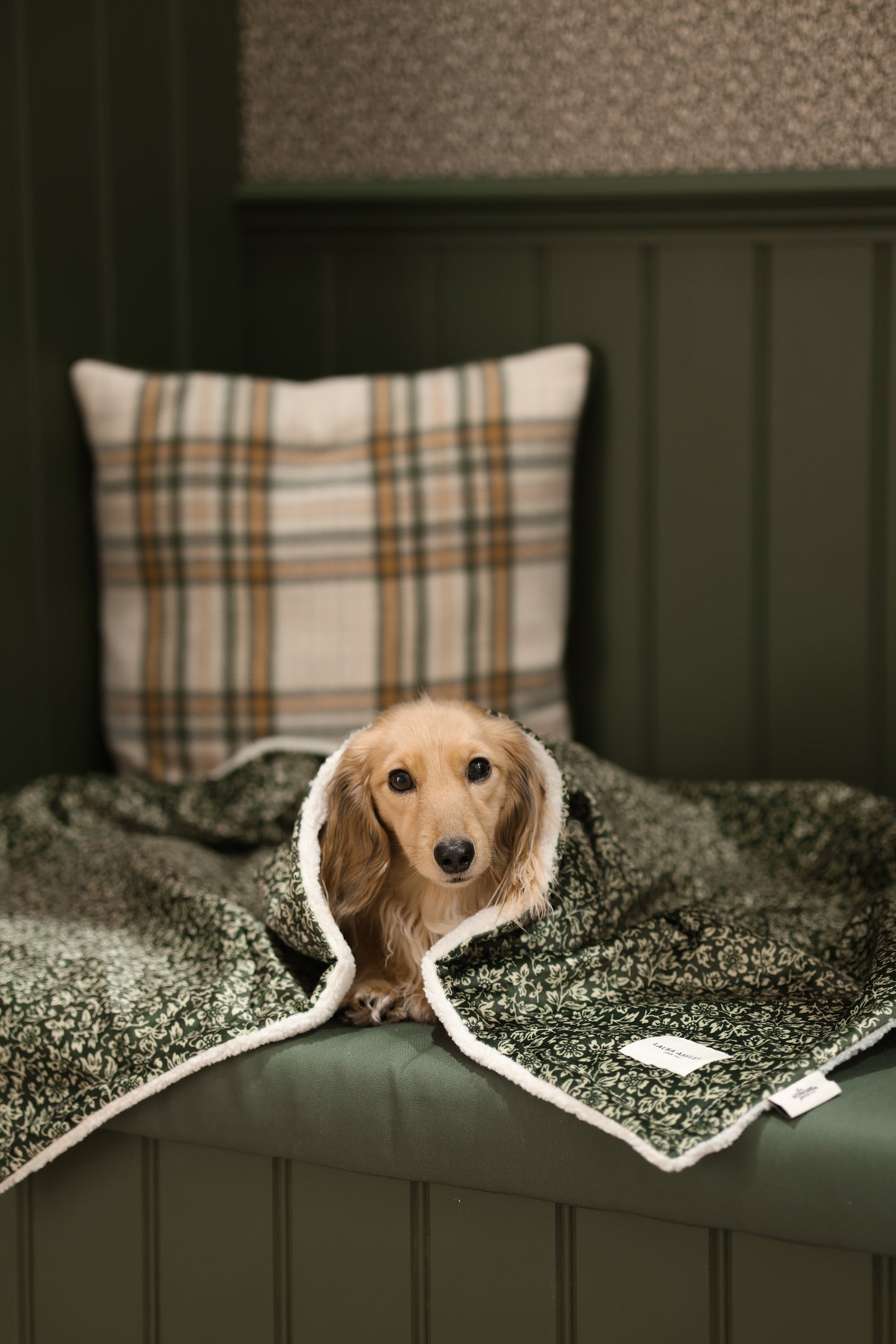 Laura Ashley Dog & Puppy Bed Blanket - Sweet Alyssum