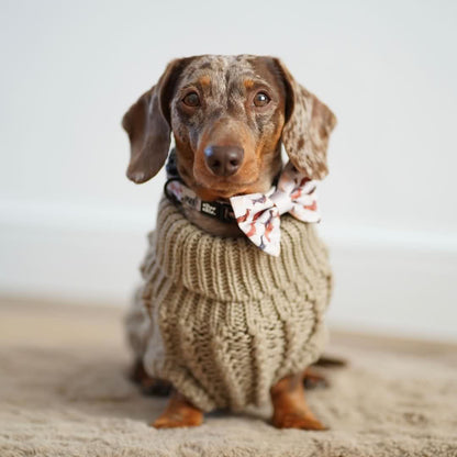 Hand Knitted Dachshund Jumper - Mocha