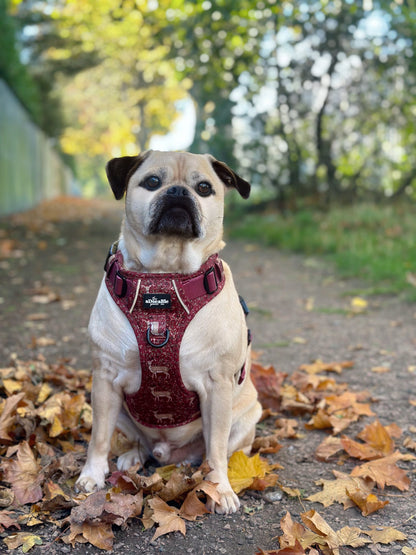 Hike & Go Lite™ Harness - Winter Fawn