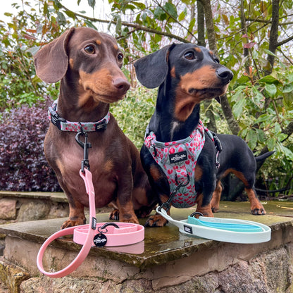 HydroFlex™ Two-tone Waterproof Dog Lead - Marshmallow Pink