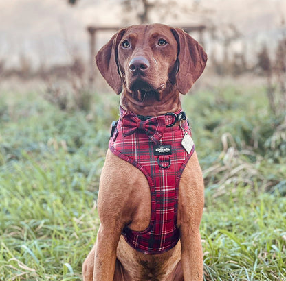 Bow Tie - LUXE Berry Red Plaid