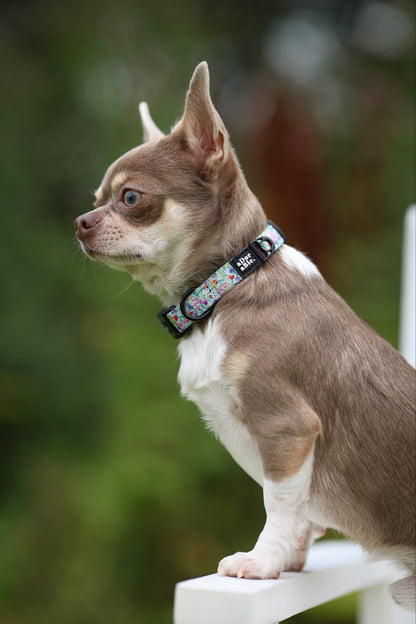 Collar - Wildflower Meadow