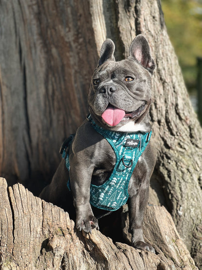 Hike & Go™ Harness - Woodland Walks - XL