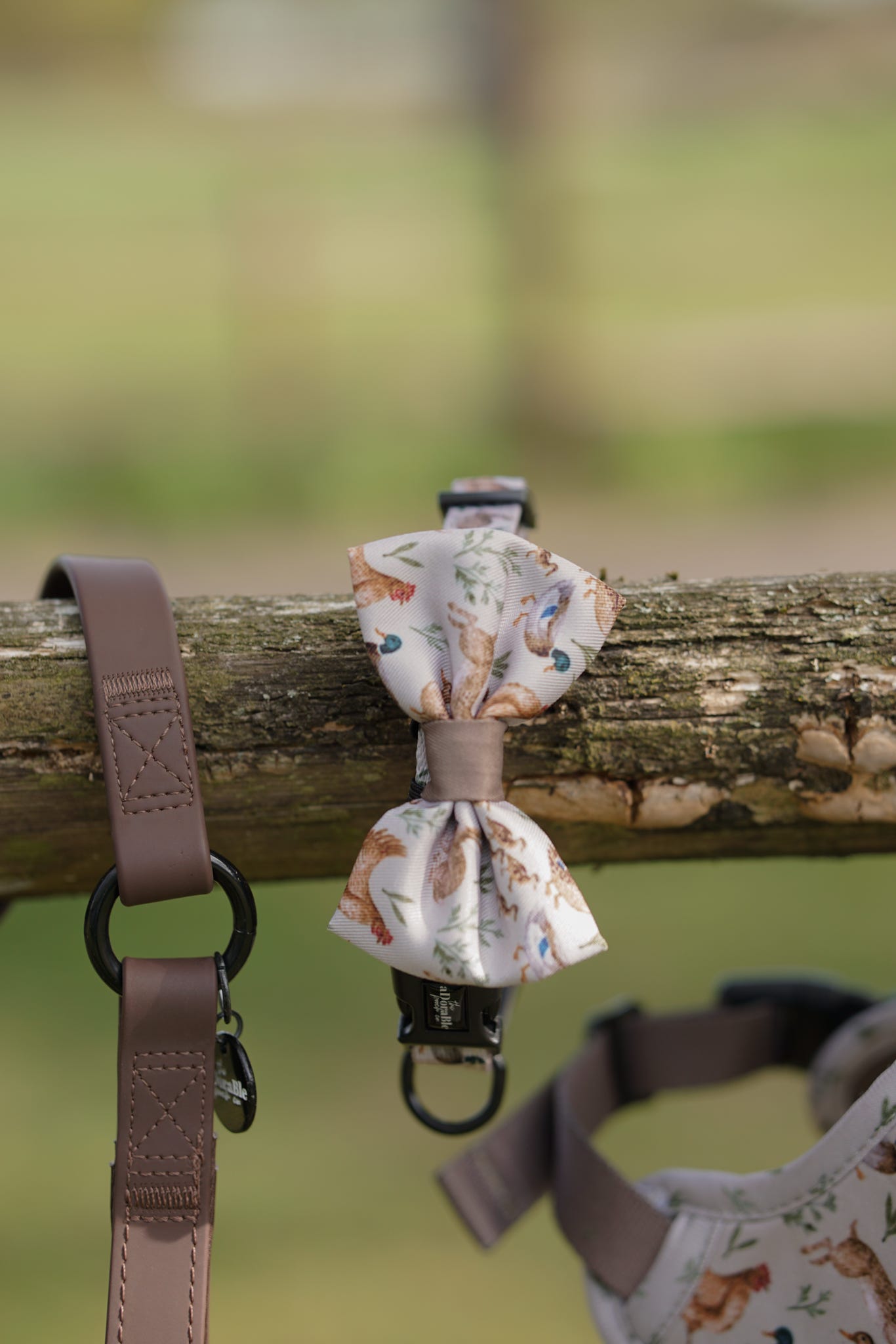 Dog Dickie Bow Tie - Cotswold Cottage