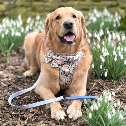 Hike & Go Lite™ Harness - Bumbles & Butterflies